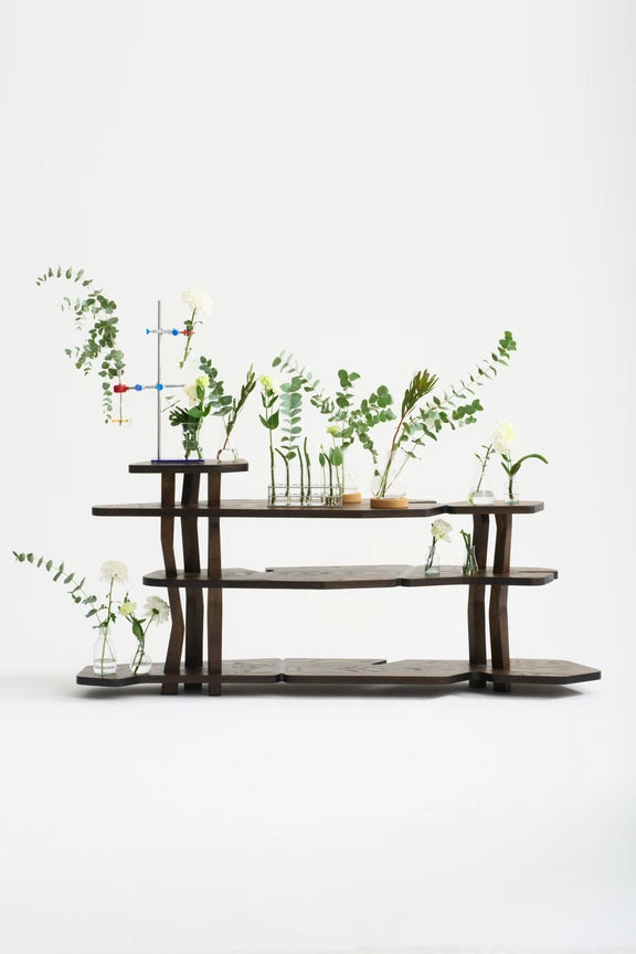 Mother Shelf Studio Lugo 2025
