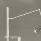 Cavalletto Angelo Lelii 1950