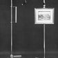 Cavalletto Angelo Lelii 1950