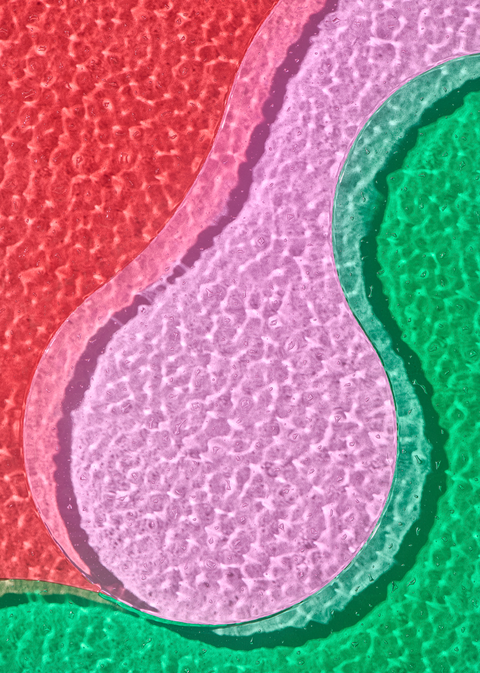 Gigiona Olympia Zagnoli 2025