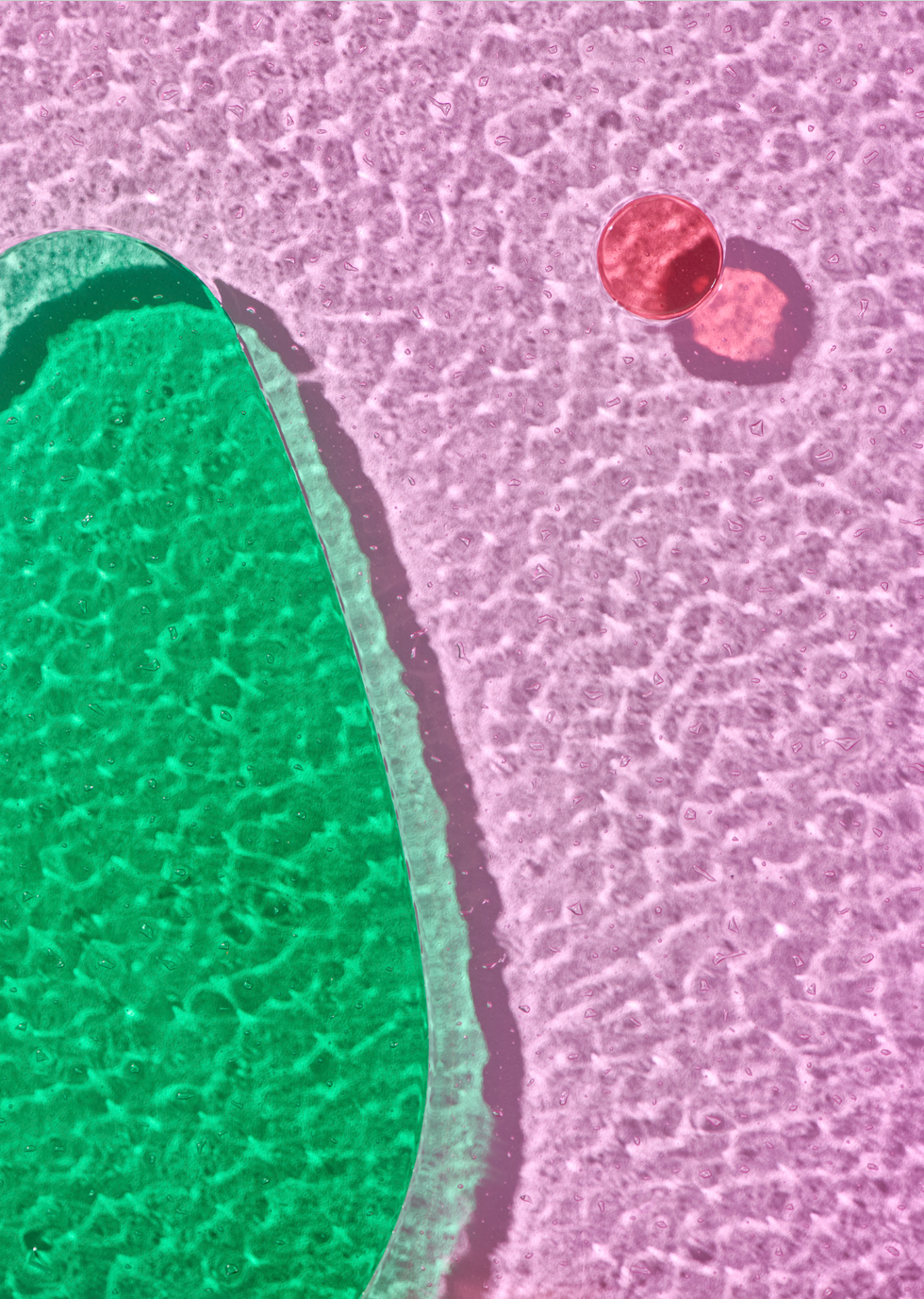 Gigiona Olympia Zagnoli 2025