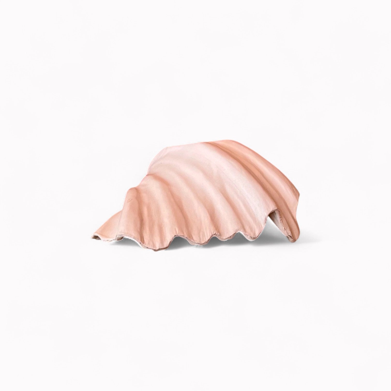 Medium Shell White Natalia Brilli