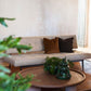 Oliver Sofa Gianfranco Frattini 1957
