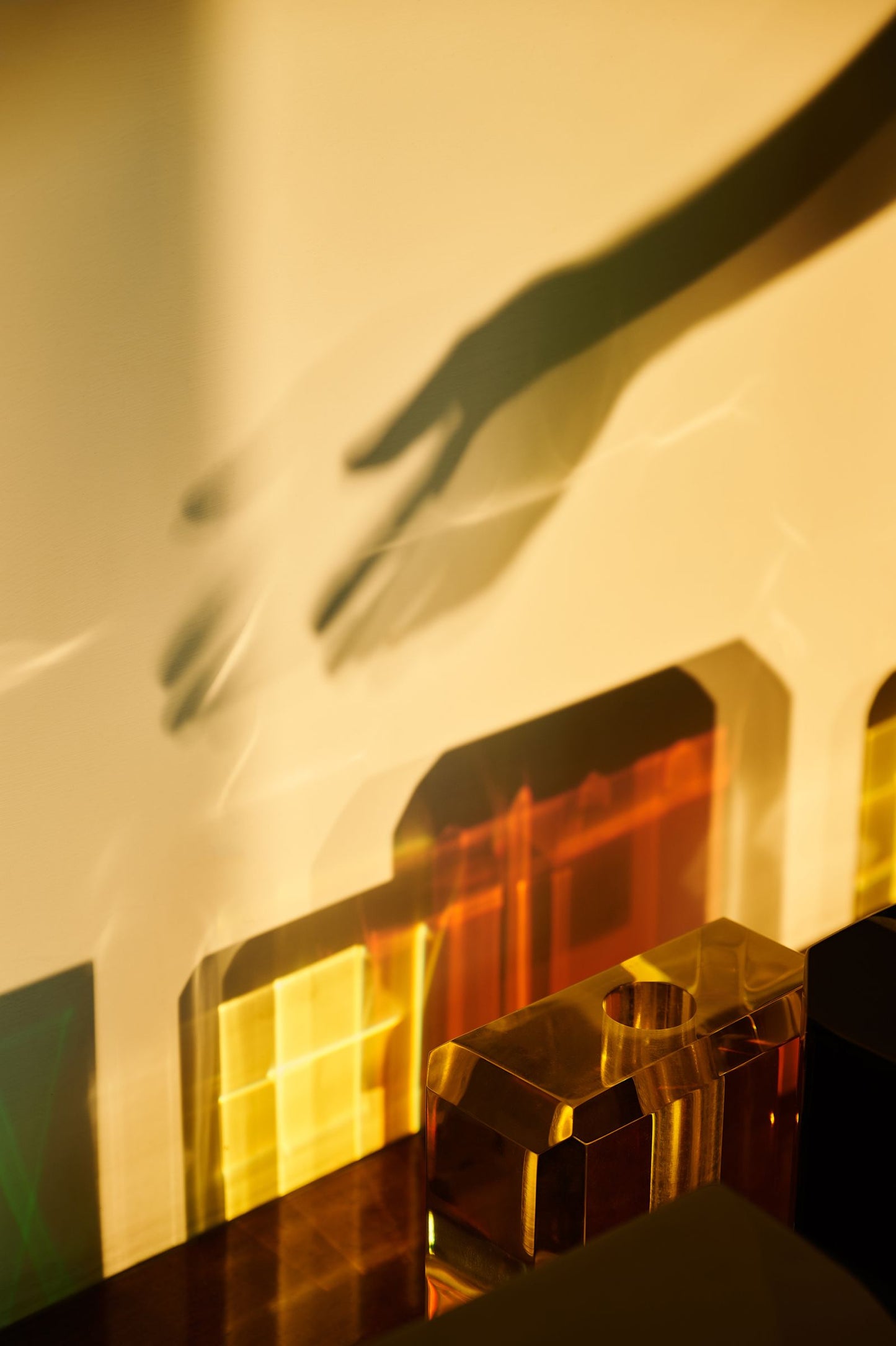 Refract Objects of Common Interest 2025