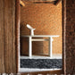 Torii Love Studiopepe 2025